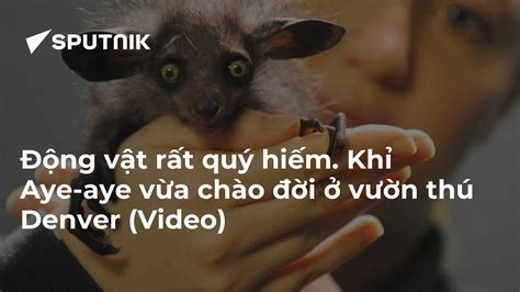  Danh Sách Động Vật: Rất Nhiều Chân Lụi Bụi Nhưng Cũng Siêu Mạnh Mẽ - Duyên Dáng Giữa Con Người Và Những Loài Khác